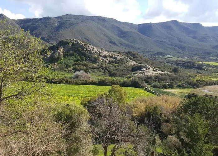 Rocas * Альгеро