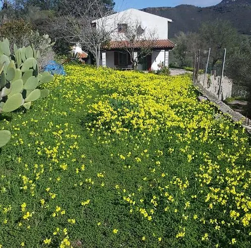 Rocas * Альгеро