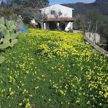 Rocas * אלגהרו